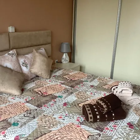 Apartment Nikol Deluxe *