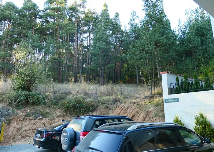 Apartment Nikol Deluxe Welingrad