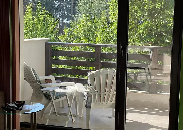 Apartment Nikol Deluxe Welingrad